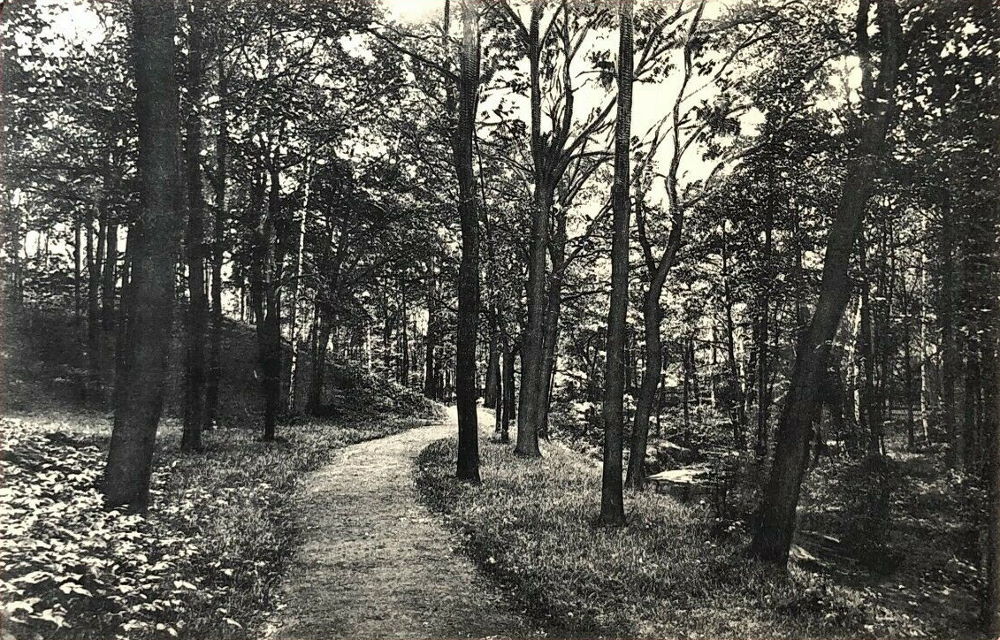 Prie&szlig;nitzgrund  Dresden
