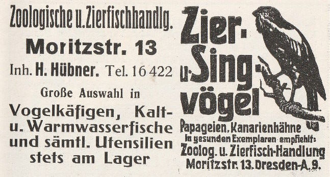 Moritzstraße 13 / König Johann-Straße Dresden Moritzstraße 13 / König Johann-Straße Dresden