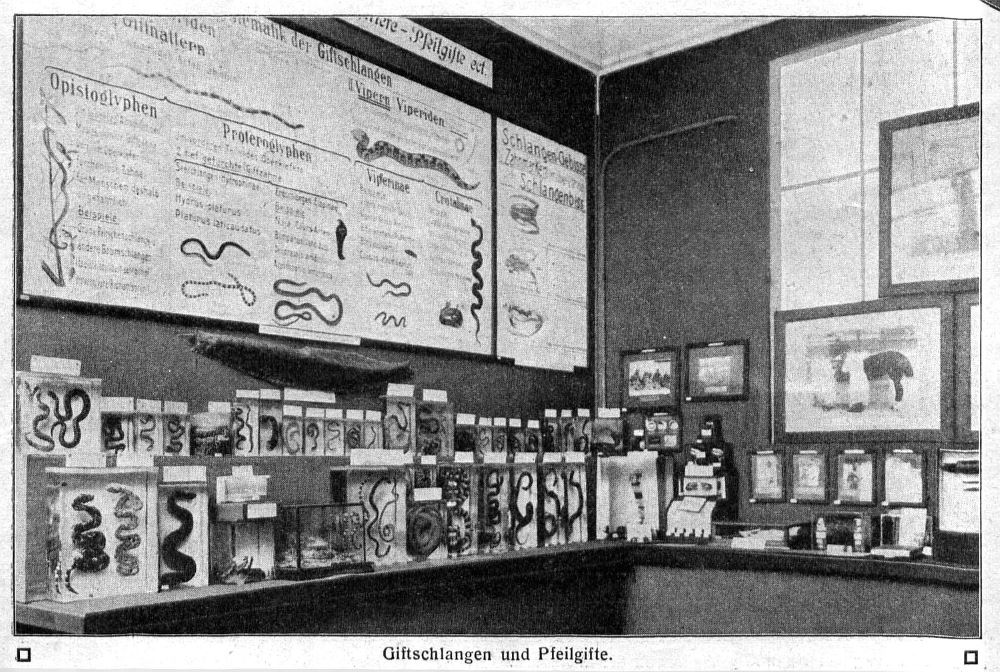 Internationale Hygieneausstellung 1911  Dresden
