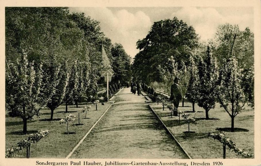Jubil&auml;ums-Gartenbau-Ausstellung 1926  Dresden
