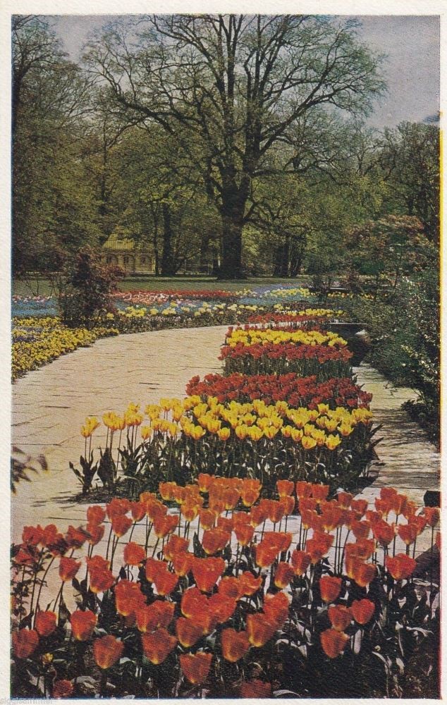 Jahresschau 1937 Garten und Heim  Dresden