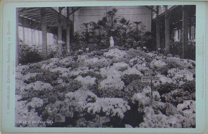 1. Internationale Gartenbau Ausstellung zu Dresden 1887  Dresden
