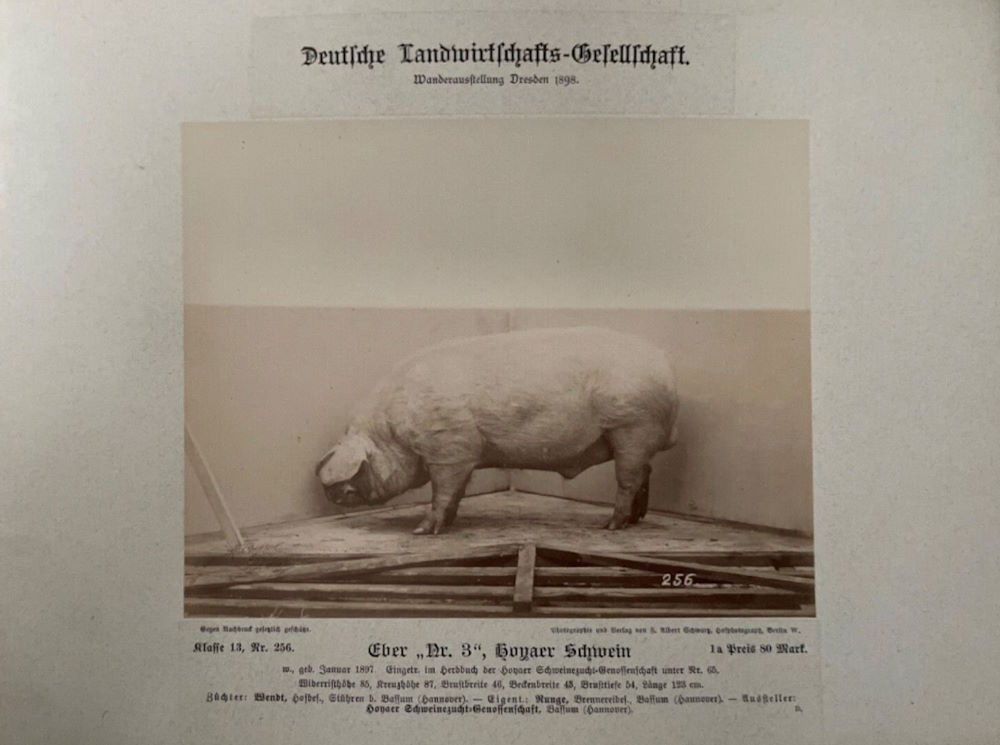 12. Wanderausstellung der deutschen Landwirtschaft 1898  Dresden