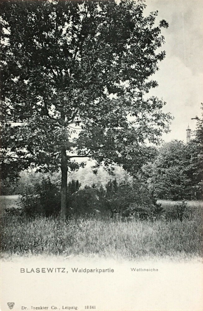 Waldpark  Dresden