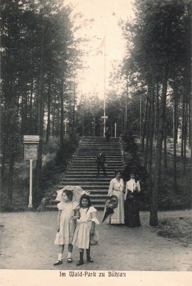 Nachtflügelweg  Dresden