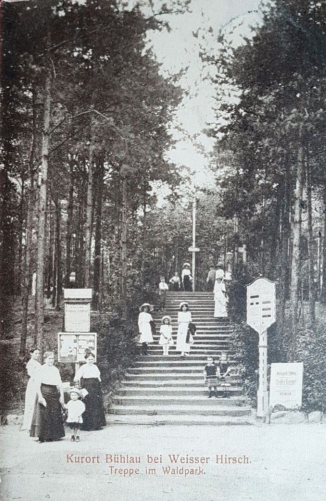 Nachtfl&uuml;gelweg  Dresden