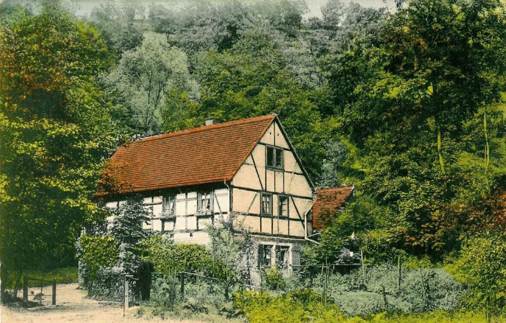 Wachwitzgrund 90  Dresden