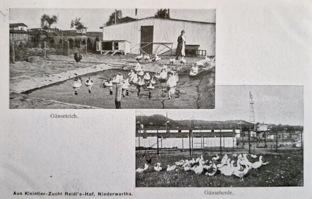 Am F&auml;hrhaus  Dresden