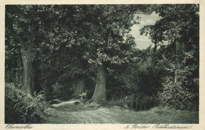 Fünf-Brüder-Weg  Dresden