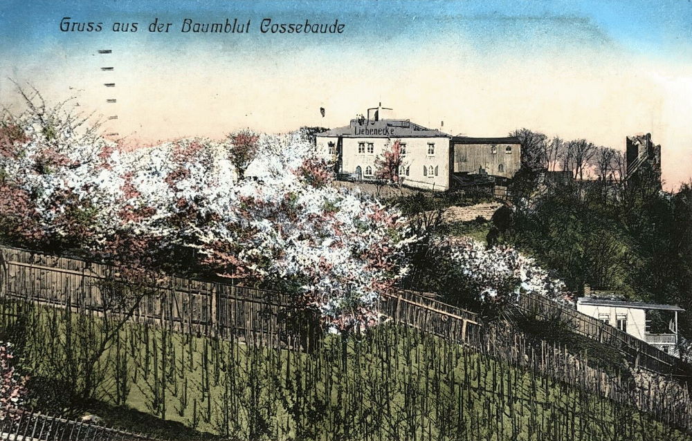 Krumme Gasse 7 (1905 Hochplateau)  Dresden