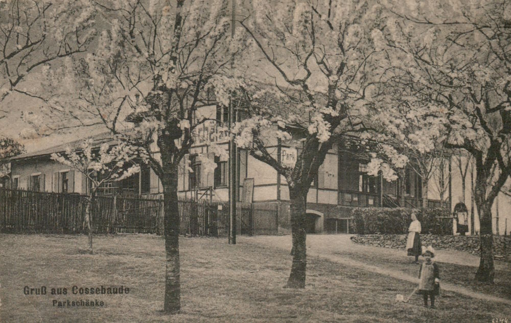 Parkweg 13 (Hochplateau Liebenecke-Osterberg)  Dresden