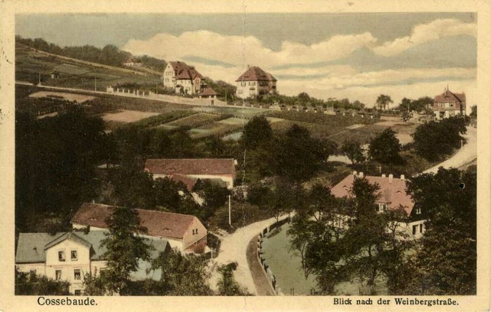 Weinbergstra&szlig;e  Dresden