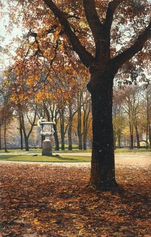 Gro&szlig;er Garten  Dresden