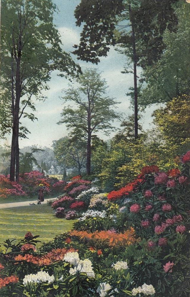 Gro&szlig;er Garten  Dresden