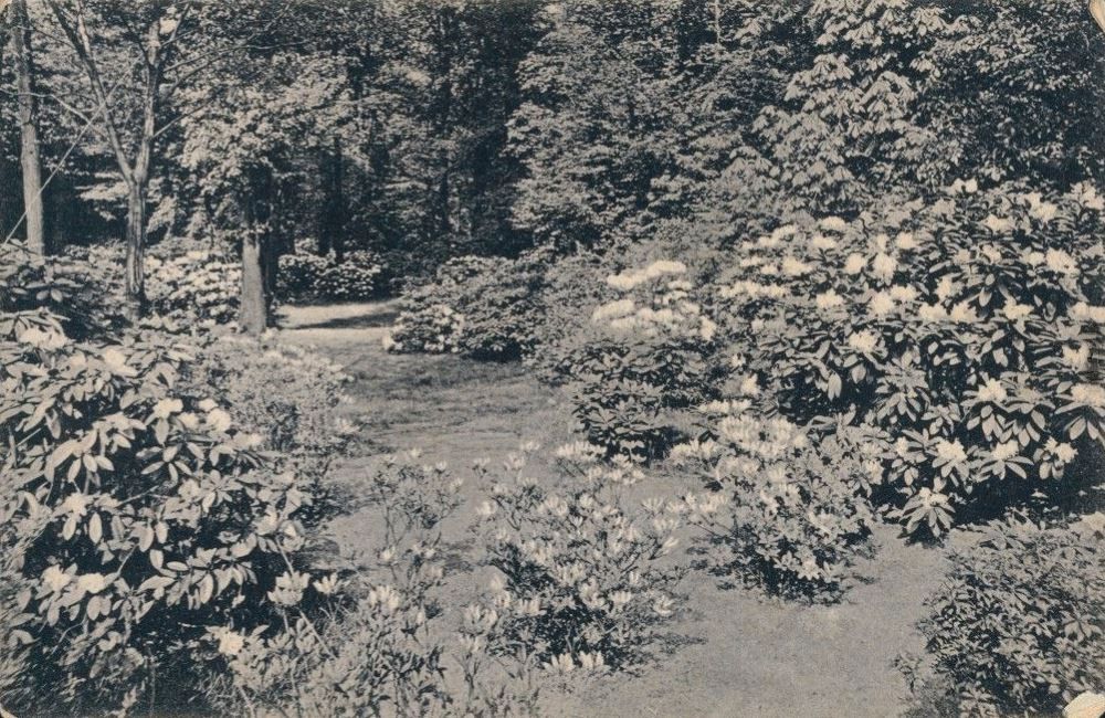 Gro&szlig;er Garten  Dresden