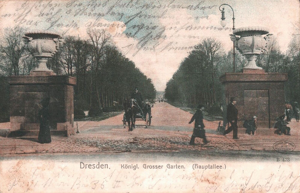Hauptallee  Dresden