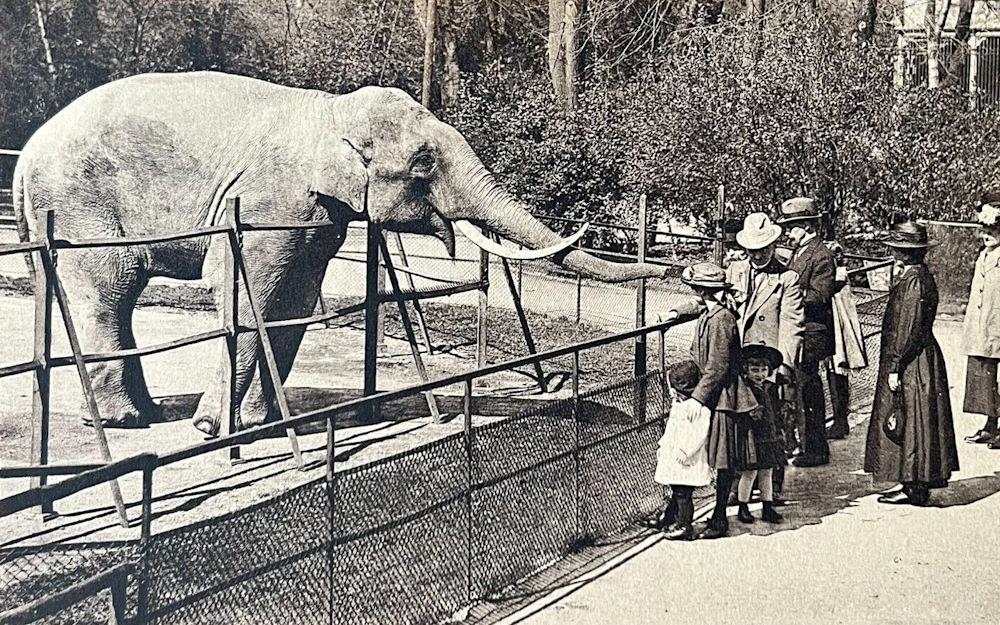 Zoologischer Garten  Dresden