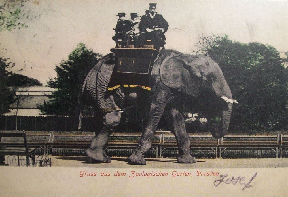 Zoologischer Garten  Dresden