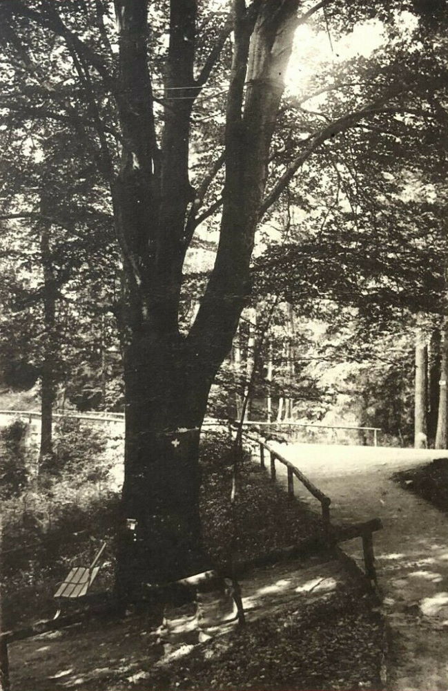 HG-Weg  Dresden