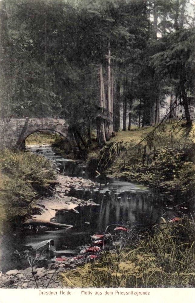 Prie&szlig;nitzgrund  Dresden