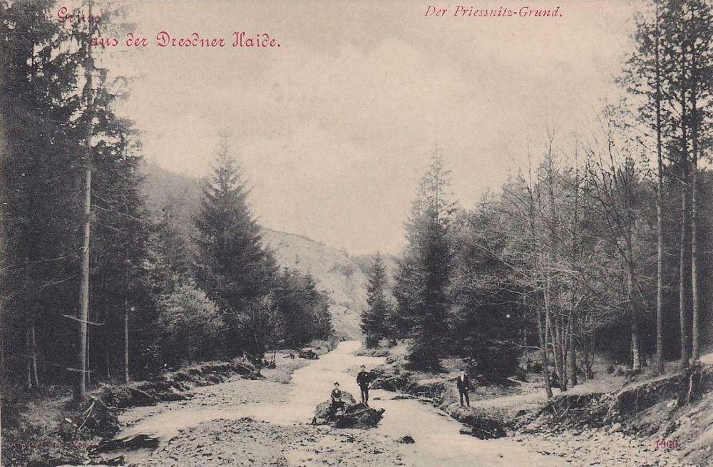Prie&szlig;nitzgrund  Dresden