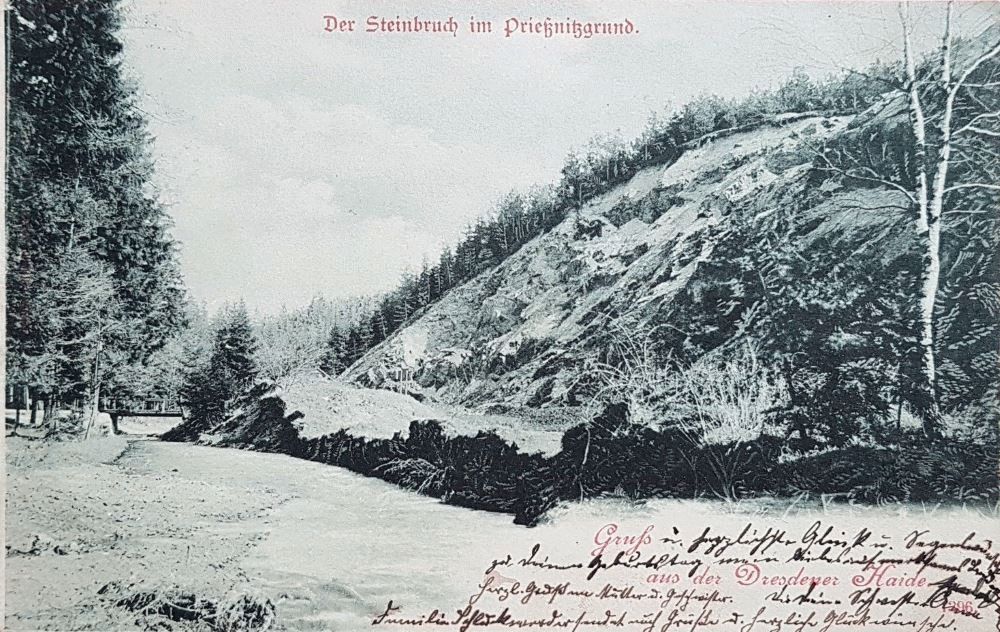 Prie&szlig;nitzgrund  Dresden