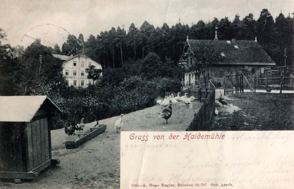 Radeberger Landstraße 101 / Gänsefuß  Dresden