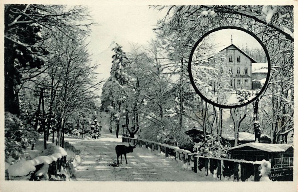 Radeberger Landstra&szlig;e 100  Dresden