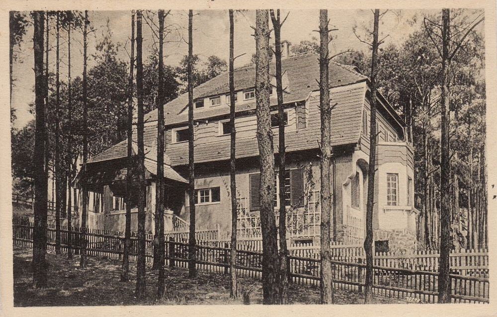 T&auml;nnichtweg 11  Dresden