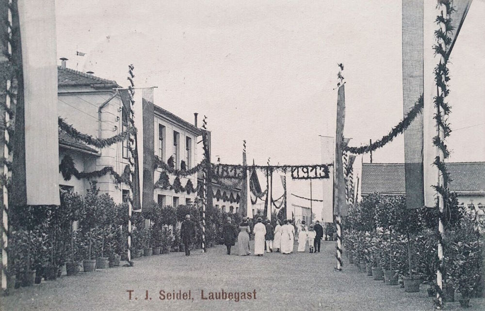 Steirische Straße 38 (-1926 Carolastraße 9) / Tauernstraße (Albertstraße) Dresden Steirische Straße 38 (-1926 Carolastraße 9) / Tauernstraße (Albertstraße) Dresden