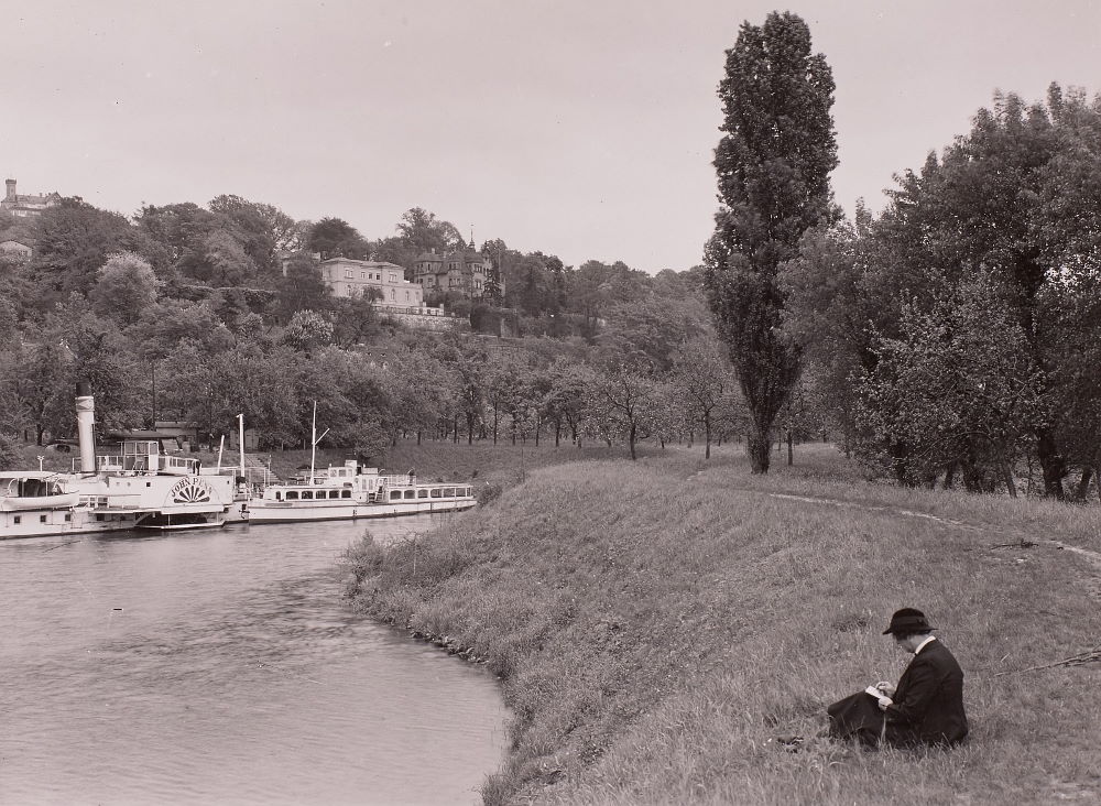 Elbe  Dresden