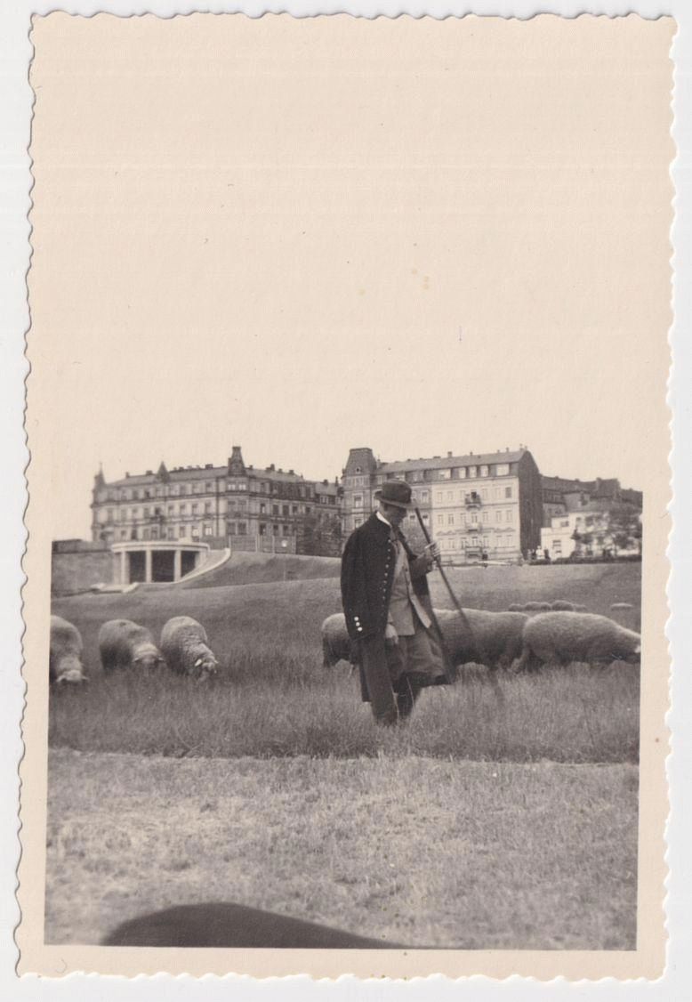 Neues K&ouml;nigsufer  Dresden