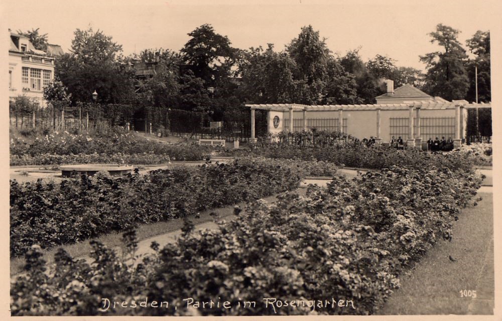 Neues Königsufer Dresden Neues Königsufer Dresden