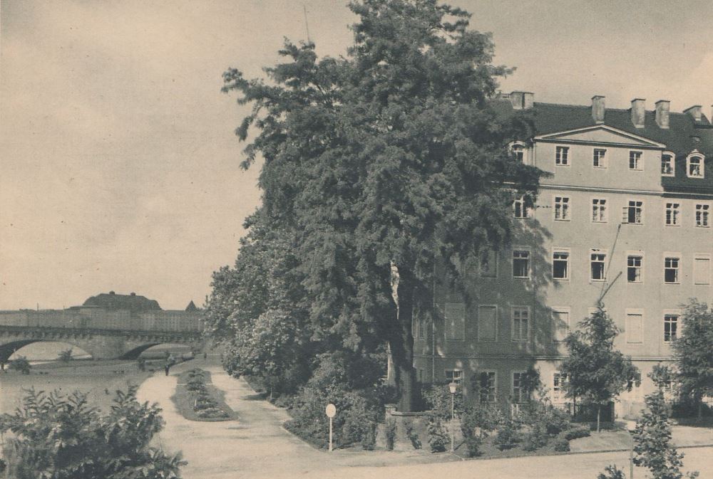 Wiesentorstra&szlig;e 1 (Wiesenstra&szlig;e)  Dresden