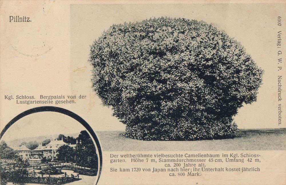August-B&ouml;ckstiegel-Stra&szlig;e  Dresden