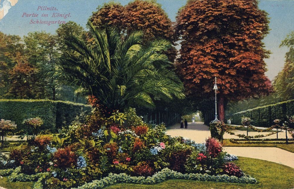 August-B&ouml;ckstiegel-Stra&szlig;e  Dresden