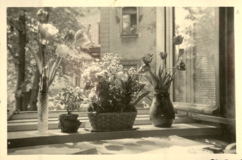 Bernhardstra&szlig;e 92,94  Dresden