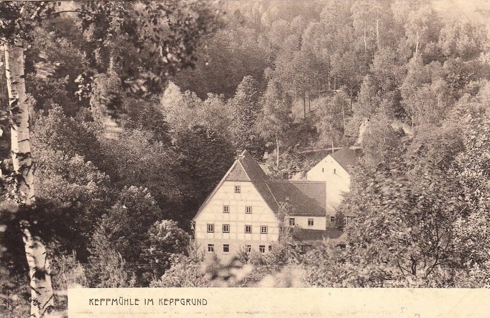 Keppgrund 6  Dresden