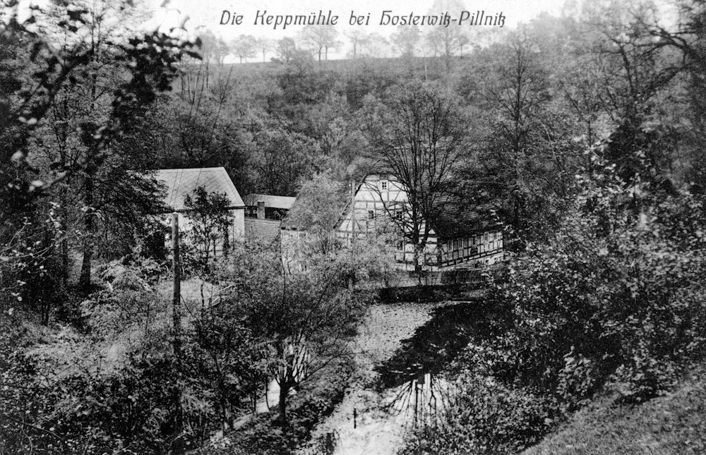 Keppgrund 6  Dresden