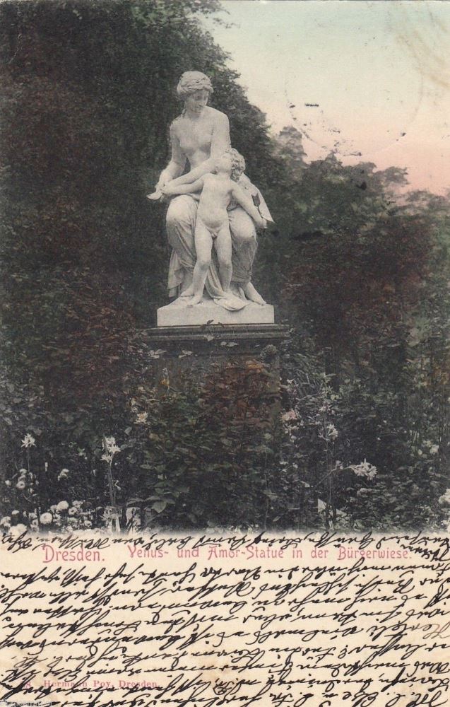 B&uuml;rgerwiese  Dresden