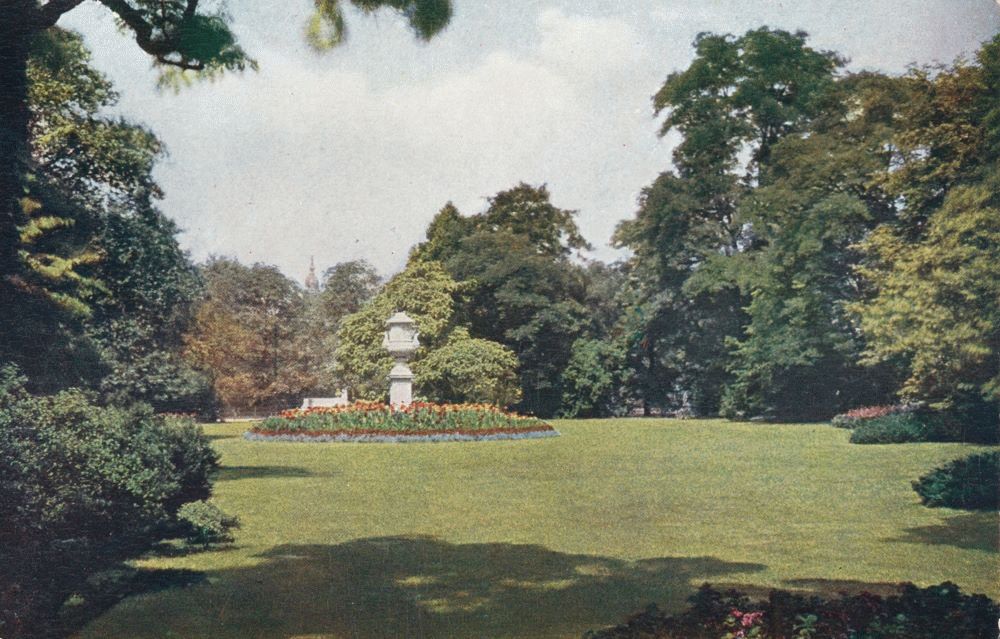 Bürgerwiese  Dresden