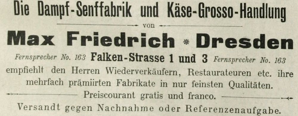 Falkenstraße 1,3  Dresden