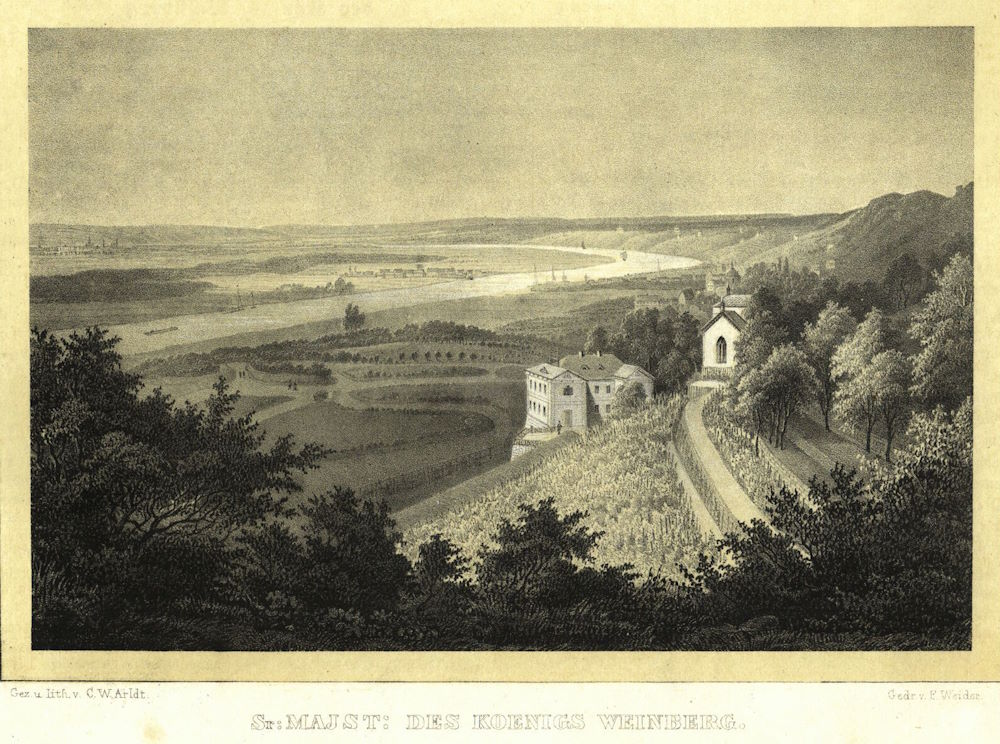 Wachwitzer Weinberg  Dresden