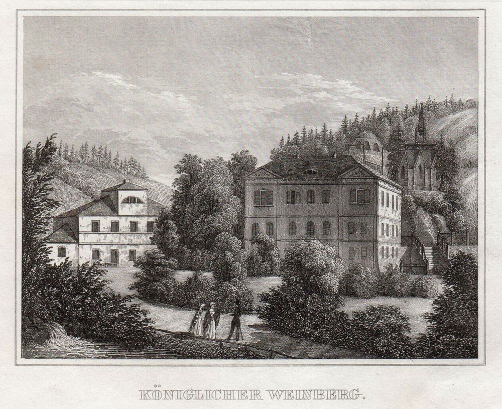 Wachwitzer Weinberg Dresden Wachwitzer Weinberg Dresden